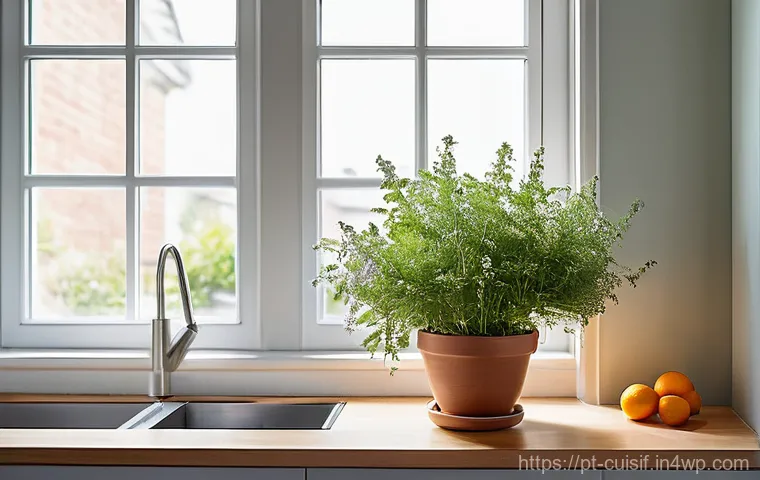 명상과 요리의 만남  새로운 시각 - Image Prompt 1: The Serene Kitchen Sanctuary**